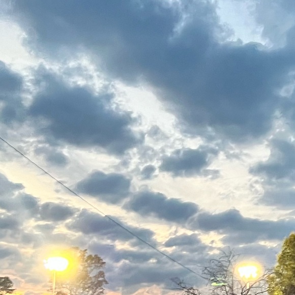 Meet your Posher, Carrie - Picture 1 of 1